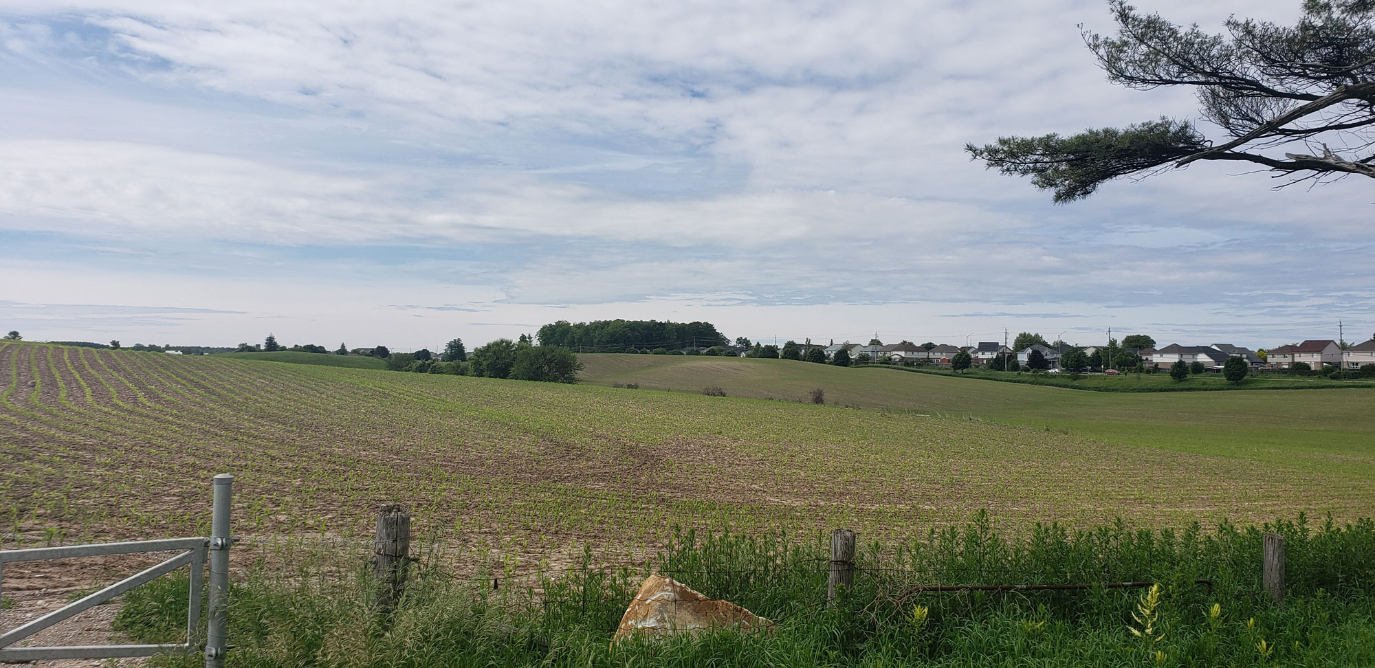 3415 Townline Rd. Puslinch