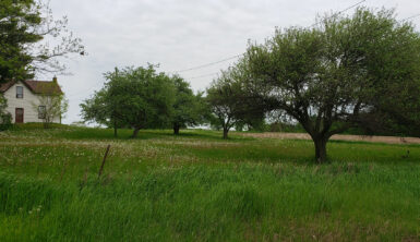 listing-box-image